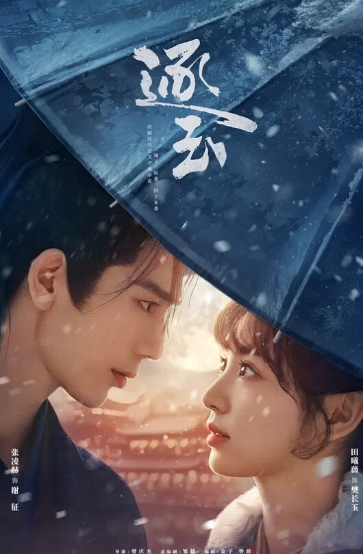 假装问路偷偷掏鸡巴给美女看 - JavBa
